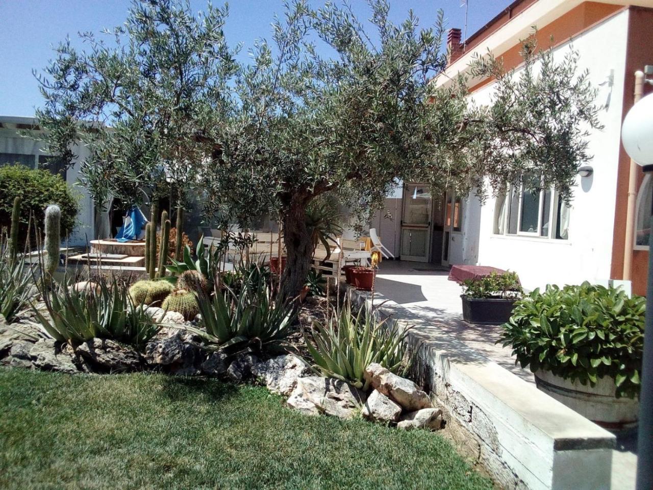Villa Plasi Menfi Exterior photo